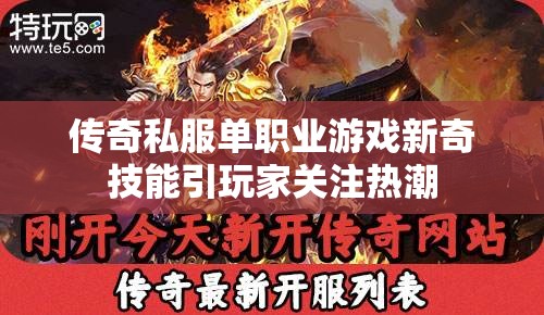 传奇私服单职业游戏新奇技能引玩家关注热潮